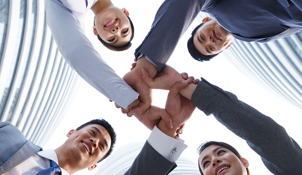 Shinegiant Equipo